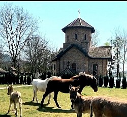 Црква Горња Ковиљача Jedinstvena arhitektura najlepse crkve u Gornjoj Koviljaci  Najlepsi pravoslavni hram za krstenje u zapadnoj Srbiji  Turisticka atrakcija i duhovni biser hram Sretenja Gospodnjeg - Hram Sretenja Gospodnjeg tokom jesenjih boja Podrinja