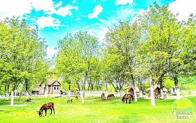 Етно село Сунчана Река